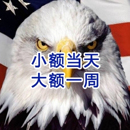 西工要账公司